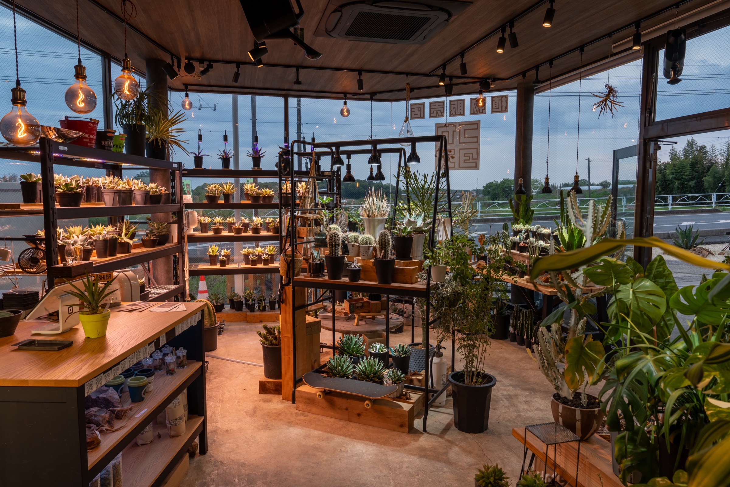 コヤタス - 観葉植物と暮らしの雑貨のお店（夕暮れの店内）